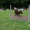 obeissance 2014-08-02